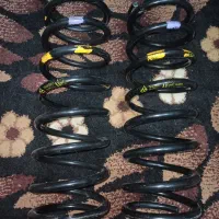 فنر عقب ساینا