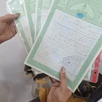 زمین گلبهار فاز دو الهیه مشهد قائن