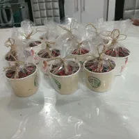 کاپ کیک|خوردنی و آشامیدنی|اصفهان, جلالیه|دیوار