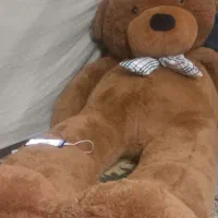 خرس عروسکی|اسباببازی|تهران, الهیه|دیوار