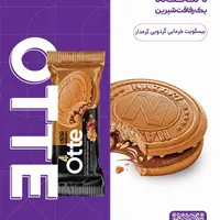 استخدام شرکت نظری