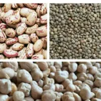 عطاری ثنا خیابان شهریار