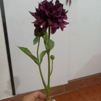 وسایل دکور|مجسمه، تندیس، ماکت|بوشهر, |دیوار