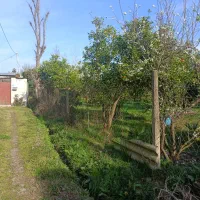 ۵۰۰ متر مسکونی سند دار