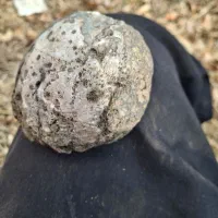 سنگ فروشی|کلکسیون اشیاء عتیقه|زنجان, |دیوار