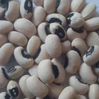 حبوبات|حراج|اصفهان, فجر|دیوار