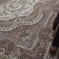 فرش 12متری|فرش|قشم, |دیوار