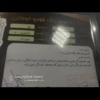 فروش ۲۰۶ اس دی وی ۸|خودرو سواری و وانت|رشت, استقامت ۱|دیوار