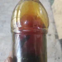 شیره انگور|حراج|فردیس, ثابتی|دیوار