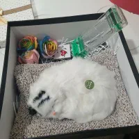 باکس مناسب ولنتاین یاهدیه