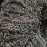 علوفه پرسی وکاه پرسی