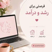 کارباگوشی درخانه
