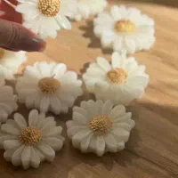 دکور وگیفت بابونه