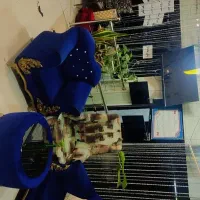 واگذاری-کافه-تریا-با-جوازکسب