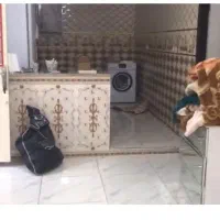 ۹۰متری طبقه بالا حیاط دار امکانات فول