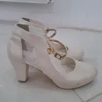 پاشنه دارمجلسی|کیف، کفش، کمربند|گلبهار, شهر جدید گلبهار|دیوار