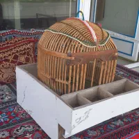 قفس با زیره