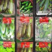 بذر وارداتی  دست اول و با کیفیت عمده وجزئی|گل و گیاه طبیعی|تهران, میدان ولیعصر|دیوار