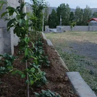 ۱ دستگاه خانه ویلایی دردهستان،زیبای حوربفروش میرسد