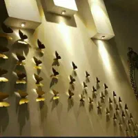 پروانه تزئینی قابل شستشو