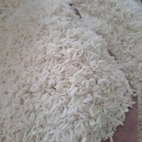 برنج صدری دم سیاه گیلان|خوردنی و آشامیدنی|زنجان, |دیوار