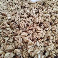 گردو کوهستان|خوردنی و آشامیدنی|بردسیر, |دیوار