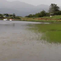 موتور سواری یک روزه