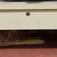 میز تحریر نشسته