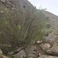 زمین-کشاورزی