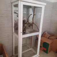 کمد مخصوص عروس هلندی و طوطی سانان با عروس