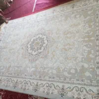 فروش فرش|فرش|میناب, |دیوار