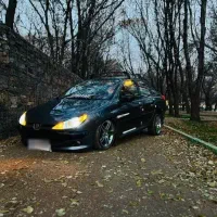 206v9یک کاپوت رنگ لوازمی