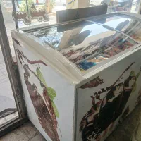 فریزر سالم