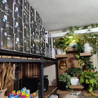 شارژ کارتریج تعمیرات پرینتر ، کامپیوتر و نرم افزار|پرینتر، اسکنر، کپی، فکس|مشهد, کوثر|دیوار