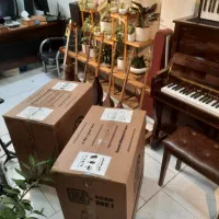 هنگ درام|درام و پرکاشن|مینودشت, |دیوار