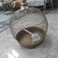 قفس عروس هلندی