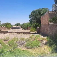 فروش باغ و زمین در مرکز شهر راین