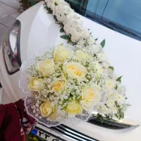 به یک نیرو خانم نیازمندیم.