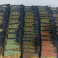 نقاب برقع  برقع برکه