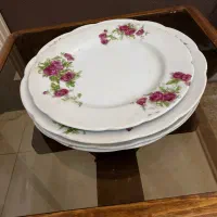 گل سرخی|ظروف سرو و پذیرایی|تهران, جمالزاده|دیوار