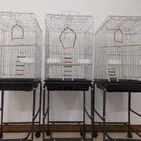 فروشگاه لوازم جانبی پرندگان|لوازم جانبی حیوانات|بیرجند, |دیوار