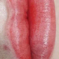 میکرو ابرو و شیدینگ لب وقاب سایه