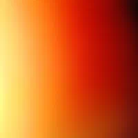 تخم مرغ محلی