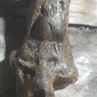 سنگ قیمی