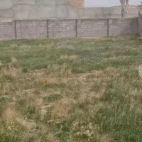 زمین طرح هادی مسکونی