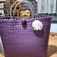 سبد مسافرتی