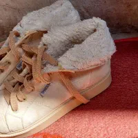 نیم بوت|کیف، کفش، کمربند|خرم‌آباد, |دیوار