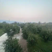 فروش خانه ویلایی ۱۶۰ متری ۳ خوابه|فروش خانه و ویلا|شیرگاه, |دیوار