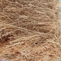 ارشته پلویی|خوردنی و آشامیدنی|شاهین دژ, |دیوار