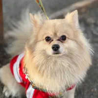 بسیار  مودب. و حرف گوش کن